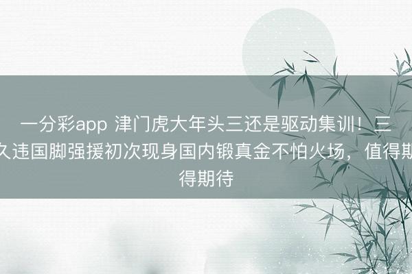 一分彩app 津门虎大年头三还是驱动集训!三位久违国脚强援初次现身国内锻真金不怕火场,值得期待