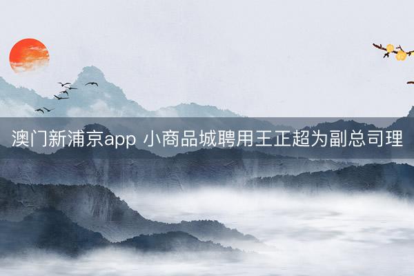 澳门新浦京app 小商品城聘用王正超为副总司理